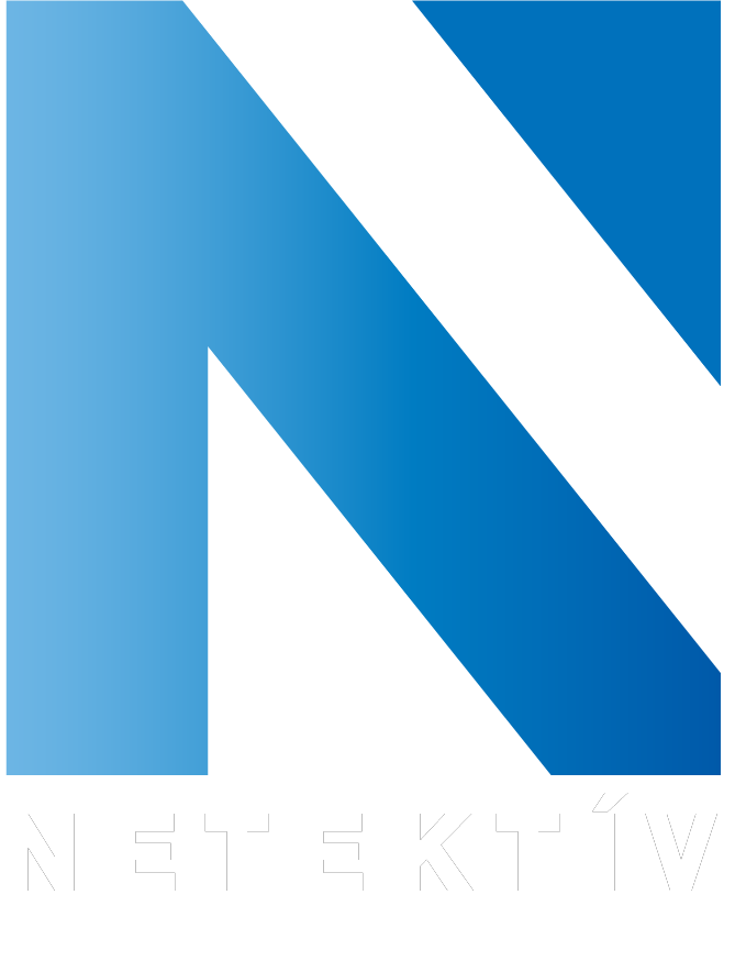Netektív logo